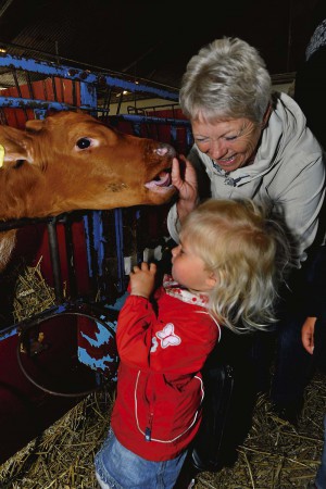 Sofia, 2 år, och farmor Margrethe Berntsson gillade kalvarna.