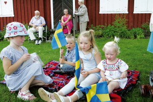 Den blågula fanan vajade på många håll i Prästalund denna varma nationaldag.