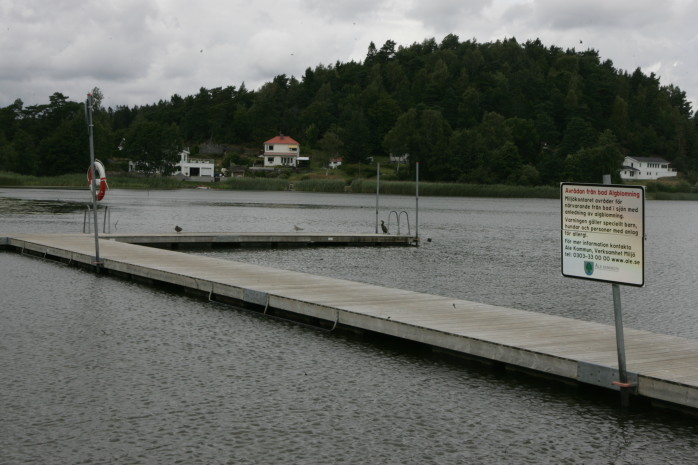 Ale kommun avråder från bad i Vimmersjön (bilden) och Hålsjön på grund av algblomning.