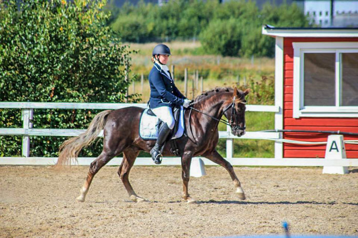 När DM i dressyr avgjordes i Ulricehamn blev det guld till Sara Lundberg på hästen Keimos Elliot. Foto: Monica Svensson