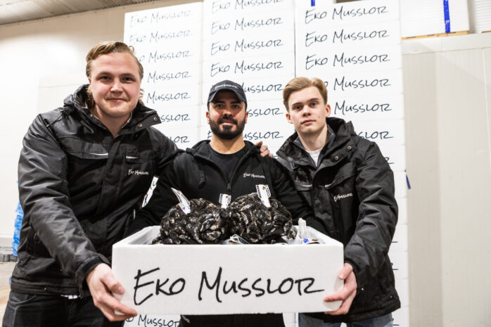 William Axelsson, Ali Hamza och Emil Bäck på Ekomusslor har bråda dagar. Många vill avnjuta musslor under jul- och nyårshelgen.