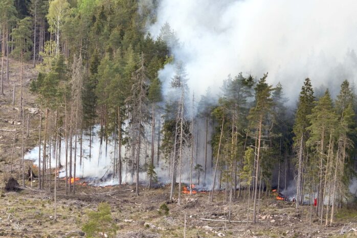 Räddningstjänsten larmades till en skogsbrand. Bild: Linus Olsson.